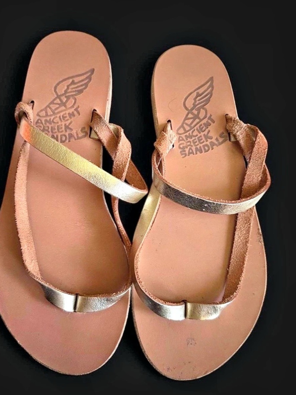 Ancient Greek Sandals Metallic Strap Sandals